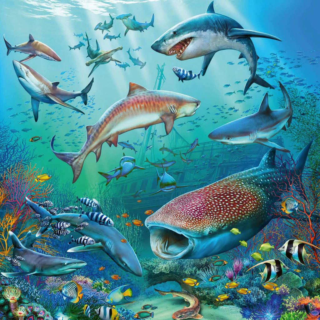 Ravensburger Dieren in de Oceaan 3x49st.