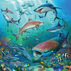 Ravensburger Dieren in de Oceaan 3x49st.