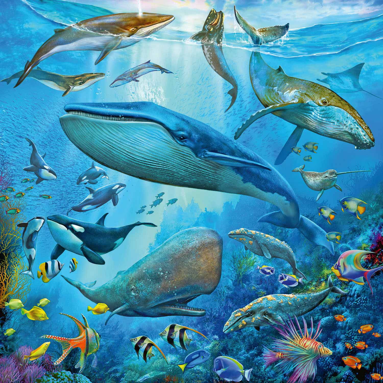 Ravensburger Dieren in de Oceaan 3x49st.