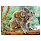 Ravensburger Familie Koala, 200st. XXL