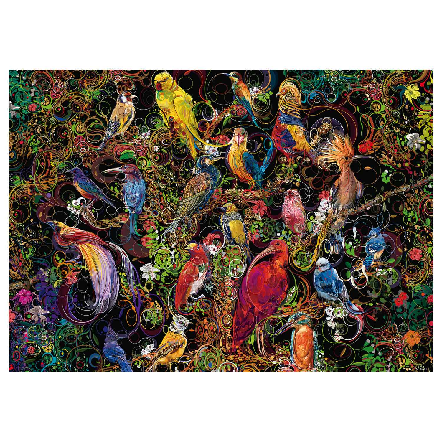 Ravensburger Schitterende Vogels, 1000st.