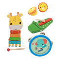 Fisher Price Houten Muziekinstrumenten Dieren