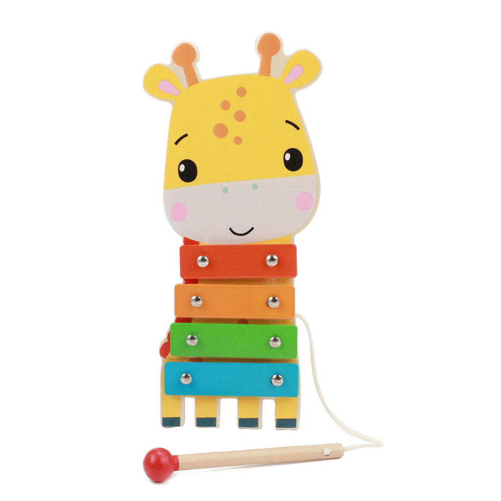 Fisher Price Houten Muziekinstrumenten Dieren