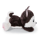Nici Glubschis Pluchen Knuffel Liggende Husky Barkley, 25cm