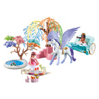 Playmobil Picknick met Pegasuskoets