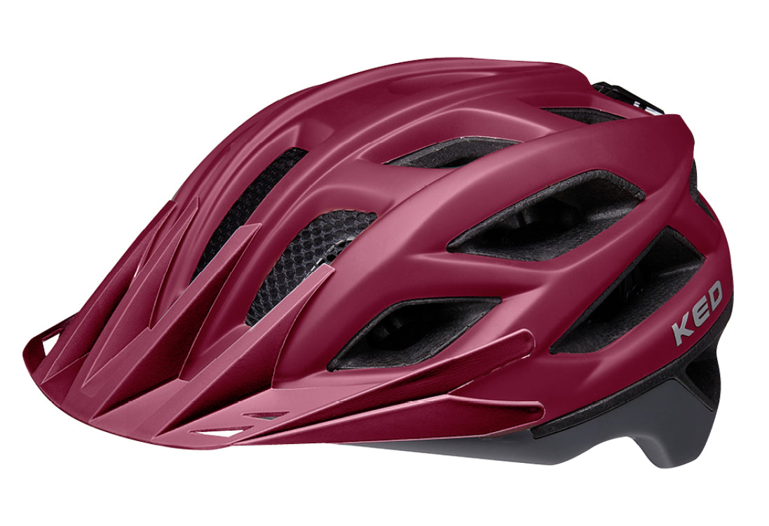 fietshelm companion l (55-61cm) - merlot grey matt