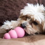 Kong Puppy roze of blauw assorti
