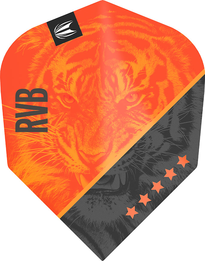 Target Vision Ultra Player Raymond van Barneveld G4 Std.6