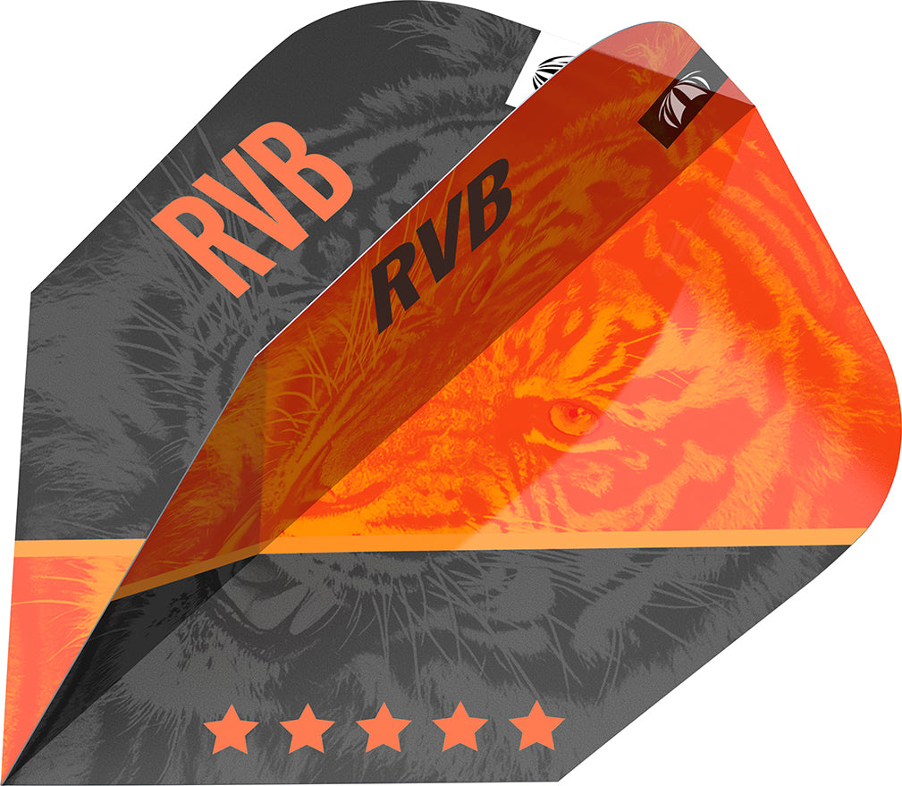 Target Vision Ultra Player Raymond van Barneveld G4 Std.6