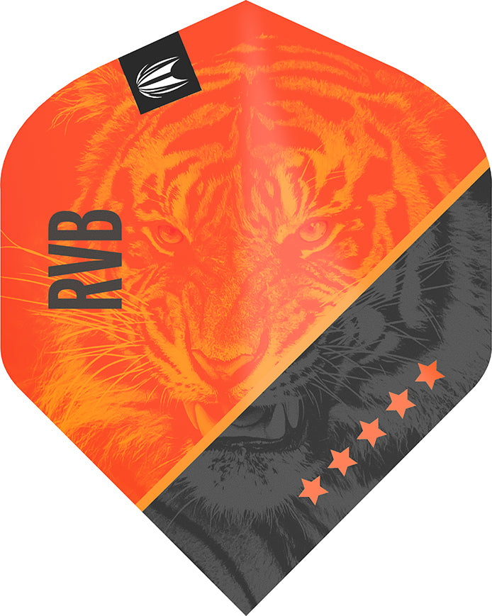 Target Vision Ultra Player Raymond van Barneveld G4 Std.