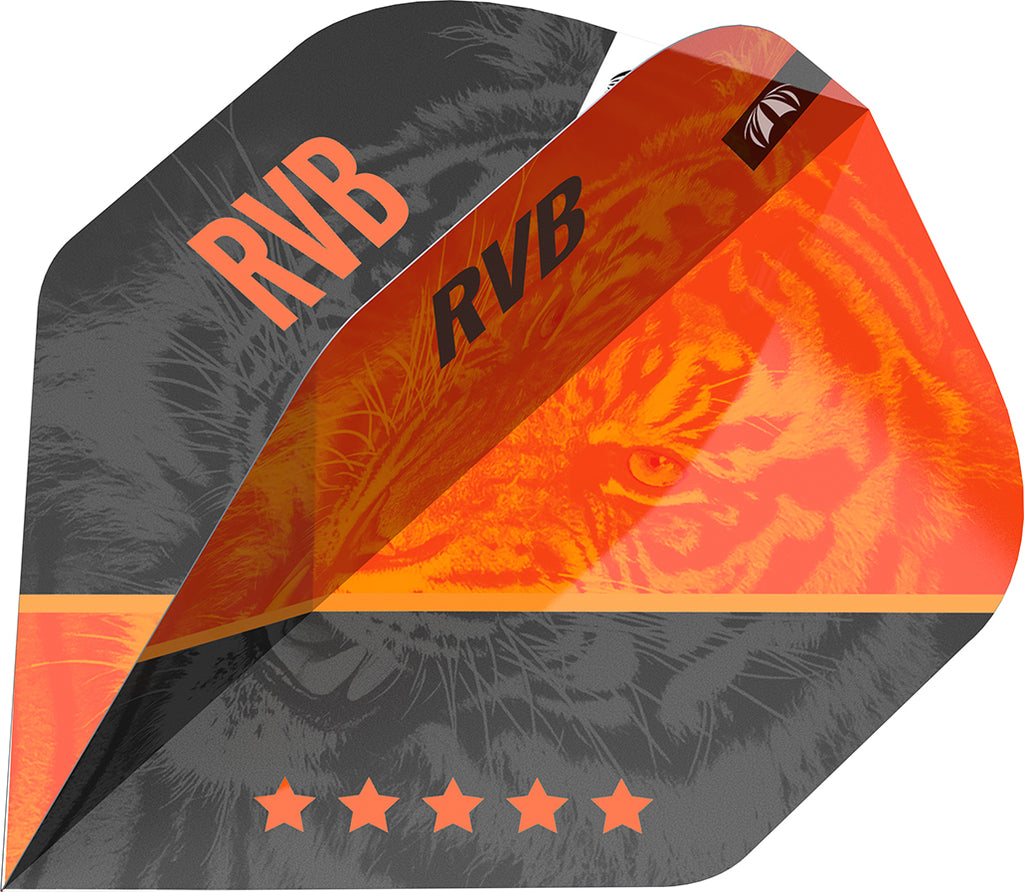 Target Vision Ultra Player Raymond van Barneveld G4 Std.