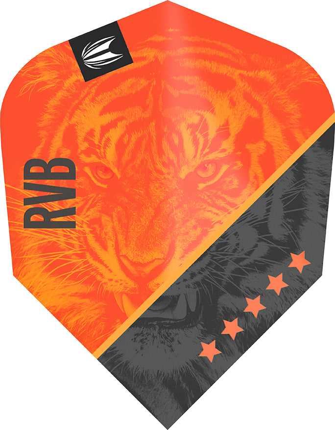 Target Vision Ultra Player Raymond van Barneveld G4 TenX
