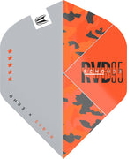 Target Player Raymond van Barneveld Echo Std.