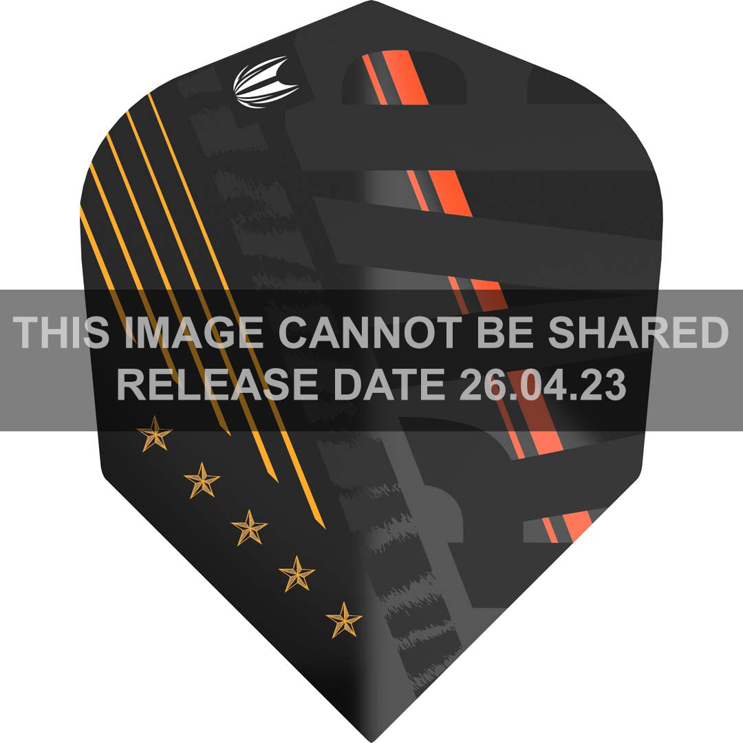 Target Pro Player Raymond van Barneveld 80 Black Std.6