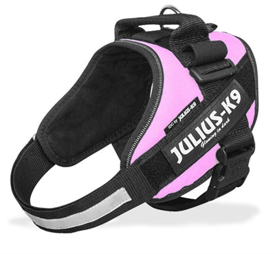 Julius k9 Power-harnas / tuig voor labels roze