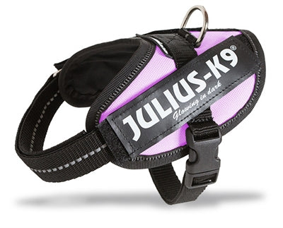 Julius k9 Power-harnas / tuig voor labels roze