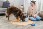 trixie dog activity memory trainer 3.0