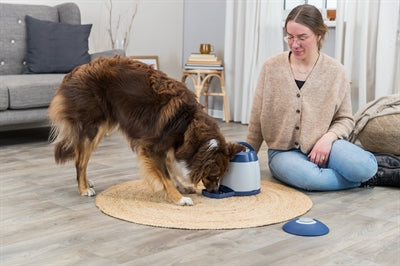 trixie dog activity memory trainer 3.0