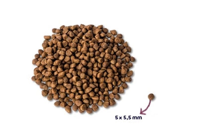 Renske Super premium kitten verse kalkoen met kip