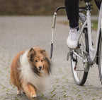 Trixie bikerset fietsbeugel springer