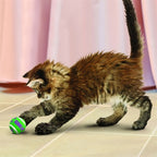 Kong Kat tennisballen met bellen