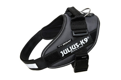 Julius k9 Idc power-harnas / tuig voor labels antraciet
