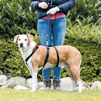 Trixie hondentuig stay zwart