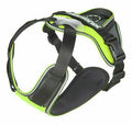 Julius k9 Idc hondentuig longwalk neon geel / grijs