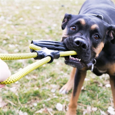 Kong Jaxx infinity tug