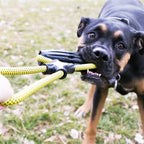Kong Jaxx infinity tug