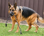 Kong Extreme bal met touw zwart / wit