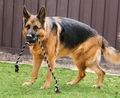 Kong Extreme bal met touw zwart / wit