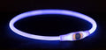 Merkloos sans marque trixie lichtgevende halsband usb flash light oplaadbaar tpu blauw