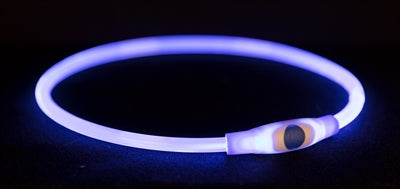 Merkloos sans marque trixie lichtgevende halsband usb flash light oplaadbaar tpu blauw