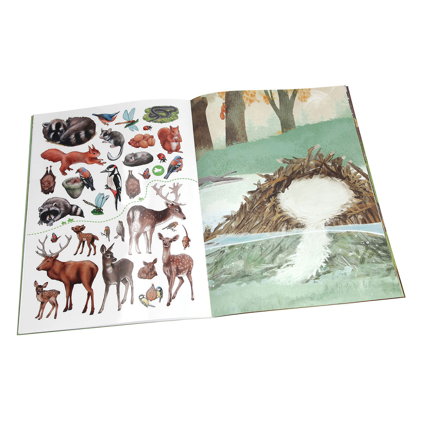 Depesche Create your Wild Forest Stickerboek
