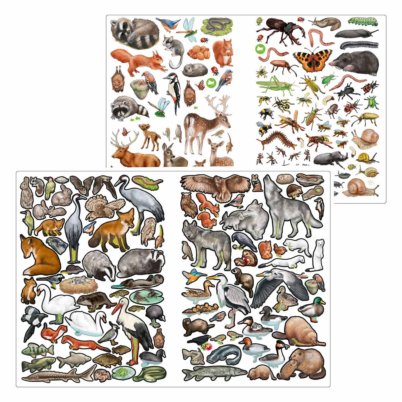 Depesche Create your Wild Forest Stickerboek