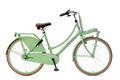 popal | meisjesfiets | daily dutch basic+ 26 | staal | pistache