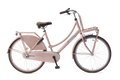 popal | meisjesfiets | daily dutch basic+ 26 | staal | zalm