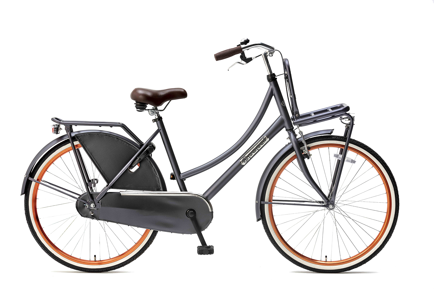 popal | meisjesfiets | daily dutch basic 26 | staal | blauw