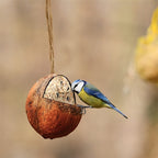 Best for birds gevulde kokosnoot 3 4 aan touw