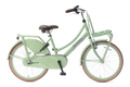 popal | meisjesfiets | daily dutch basic+ 22 | staal | pistache