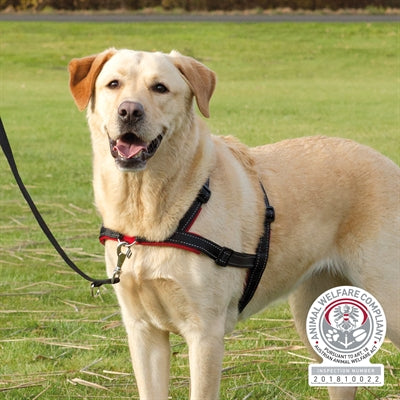 Trixie Hondentuig trainingstuig lead'n'walk soft zwart