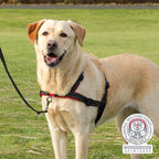 Trixie Hondentuig trainingstuig lead'n'walk soft zwart