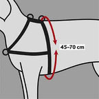 Trixie Hondentuig trainingstuig lead'n'walk soft zwart