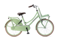 popal | meisjesfiets | daily dutch basic 22 | staal | pistache