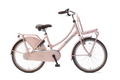 popal | meisjesfiets | daily dutch basic 22 | staal | zalm