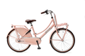 popal | meisjesfiets | daily dutch basic+ 24 | staal | zalm