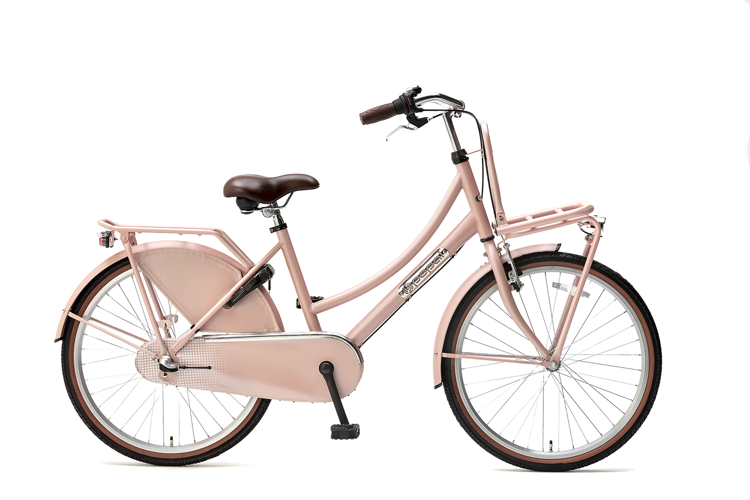 popal | meisjesfiets | daily dutch basic+ 24 | staal | zalm