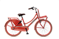 popal | meisjesfiets | daily dutch basic+ 24 | staal | roze