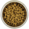 Yourdog Koningspoedel senior